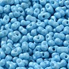 Baking Paint Glass Seed Beads SEED-K009-01A-06-3