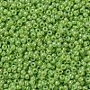 MIYUKI Round Rocailles Beads SEED-G007-RR0479-3
