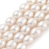 Natural Cultured Freshwater Pearl Beads Strands PEAR-P062-09C-2
