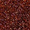 Spray Painted Glass Seed Beads SEED-F005-05A-05-3