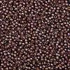 TOHO Round Seed Beads X-SEED-TR11-1850-2
