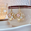 Alloy Enamel Dangle Earrings FS-WG5BF49-01-2