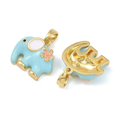 Brass Enamel Pendants KK-T001-04G-C-1