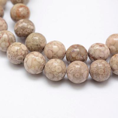 Natural Fossil Coral Beads Strands G-P325-01-8mm-1