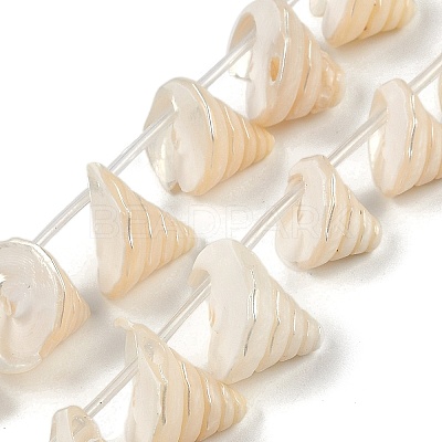 Natural Shell Beads Strands SHEL-K009-11-1