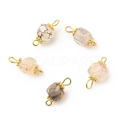 Natural Agate Connector Charms PALLOY-JF01587-04-1