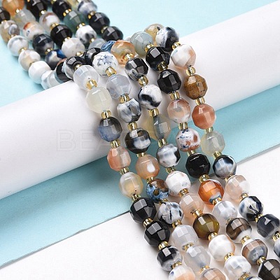 Natural Fire Agate Beads Strands G-I338-03-1