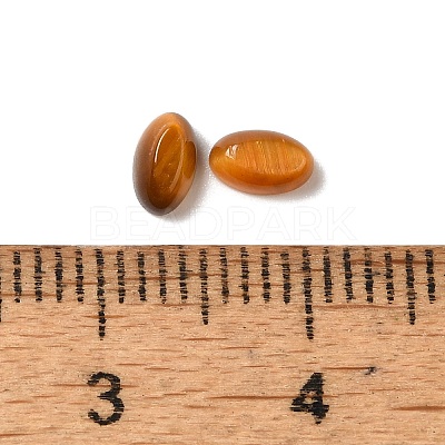Natural Tiger Eye Cabochons G-F772-01A-10-1