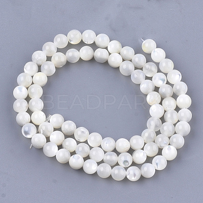 Natural White Shell Beads SHEL-T012-49C-1