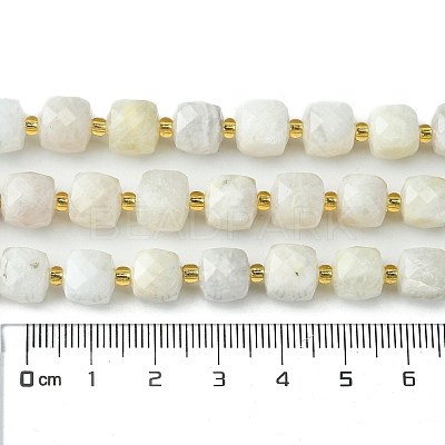 Natural Moonstone Beads Strands G-Q010-A05-01-1