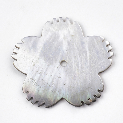 Black Lip Shell Beads SSHEL-S251-11-1