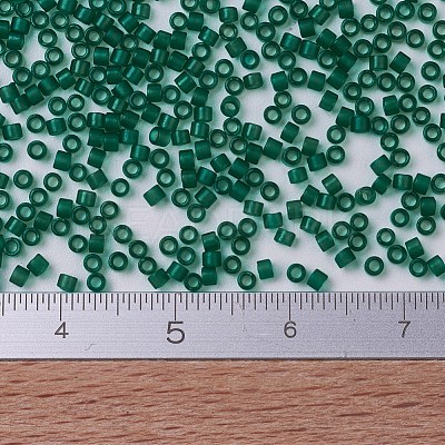 MIYUKI Delica Beads X-SEED-J020-DB0776-1