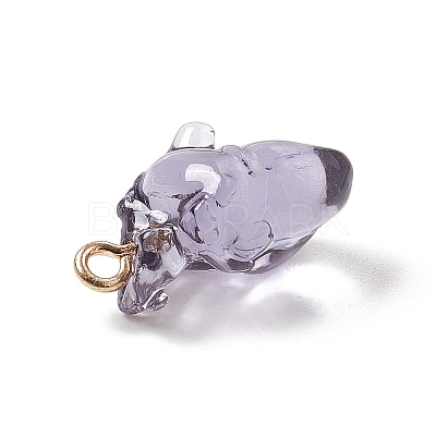 Transparent Resin Pendants RESI-E028-01G-08-1