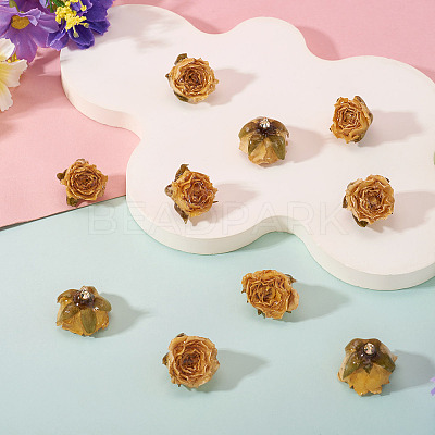 10Pcs Preserved Rose Pendants KY-TA0001-59D-1