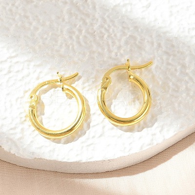 925 Sterling Silver Hoop Earrings STER-P047-13A-G-1