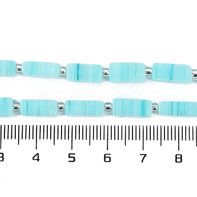 Handmade Lampwork Beads Strands LAMP-Q037-01B-04-1