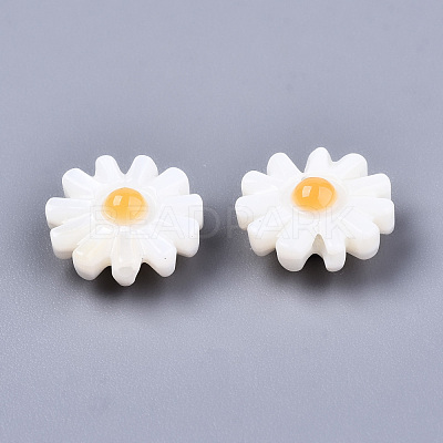 Natural Freshwater Shell Beads SHEL-S266-14B-1
