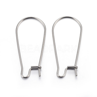 Non-Tarnish 304 Stainless Steel Hoop Earring Findings STAS-P223-01P-06-1