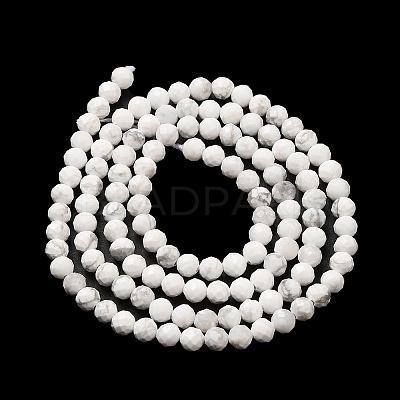 Natural Howlite Beads Strands X-G-E608-A01-B-1