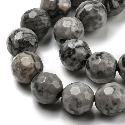 Natural Map Stone/Picasso Stone/Picasso Jasper Beads Strands G-C079-B05-01-1