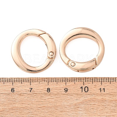 Alloy Spring Ring Clasps AL-B004-01KCG-A-1
