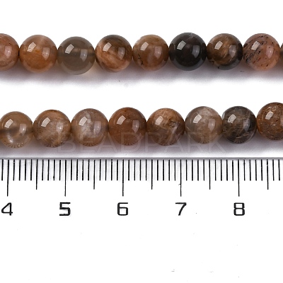 Natural Black Moonstone Beads Strands G-A219-A01-02-1