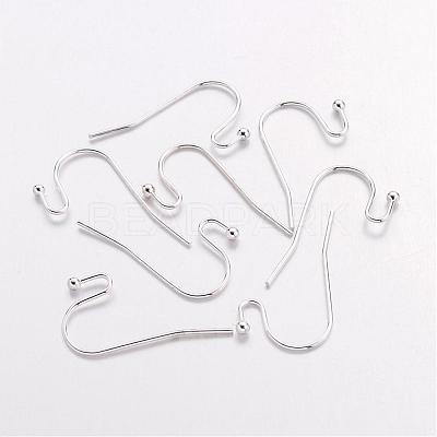 Brass Earring Hooks J0JQN-S-1