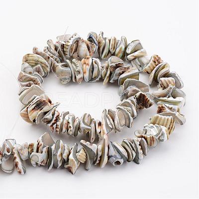 Natural Shell Bead Strands BSHE-P010-08-1
