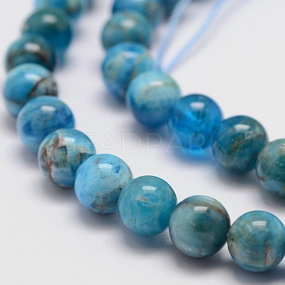Natural Apatite Beads Strands X-G-D856-01-6.5mm-1