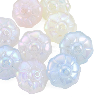 Rainbow Iridescent Plating Acrylic Beads OACR-N010-071-1