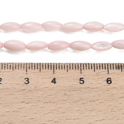 Natural Freshwater Shell Beads Strands SHEL-C010-01F-1