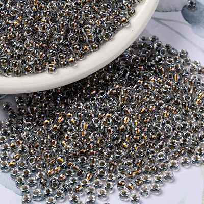 MIYUKI Round Rocailles Beads X-SEED-G008-RR3202-1