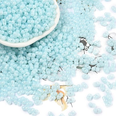 Baking Paint Glass Seed Beads SEED-L011-09A-08-1