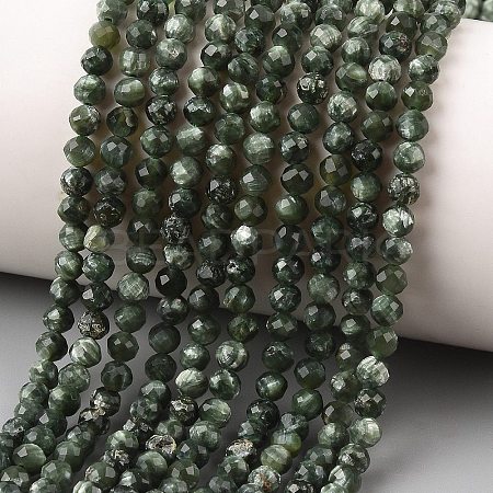 Natural Seraphinite Beads Strands G-K376-A02-4mm-1