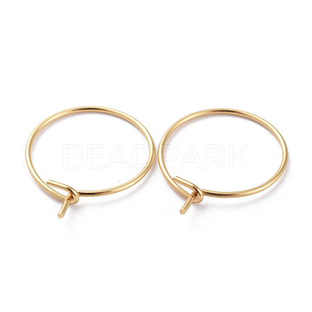 316 Surgical Stainless Steel Hoop Earring Findings STAS-J025-01E-G02-1