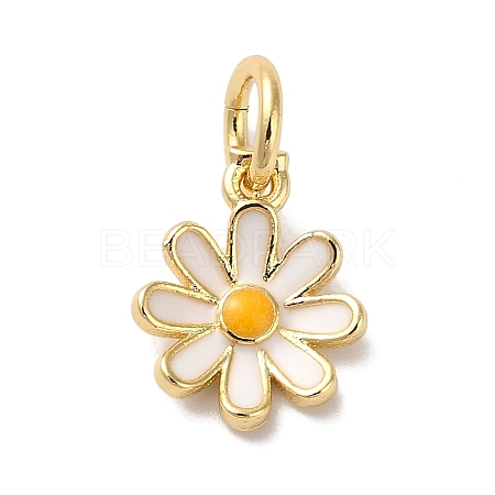 Brass Enamel Charms KK-L216-006G-01-1