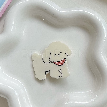 Cute Acrylic Alligator Hair Clips PW-WG54A16-03-1