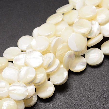 Natural Trochid Shell/Trochus Shell Beads Strands SSHEL-K016-03A-1