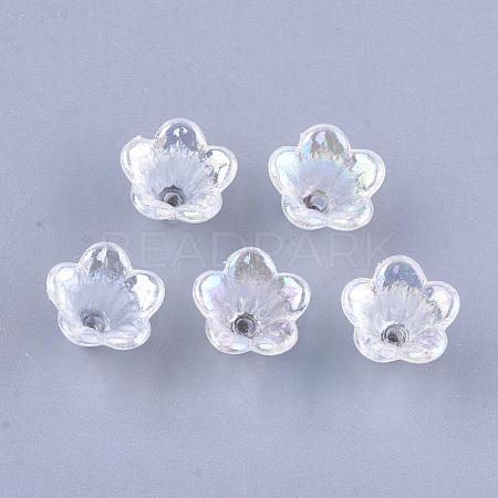 Transparent Acrylic Bead Caps TACR-T007-04A-1