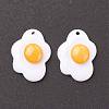 Resin Pendants X-RESI-F030-21-2
