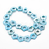 Freshwater Shell Beads Frames Strands SHEL-T009-14B-2