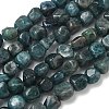 Natural Apatite Beads Strands G-R445-8x10-24A-2