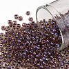 TOHO Round Seed Beads SEED-JPTR08-0927-1