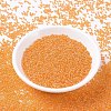 MIYUKI Round Rocailles Beads X-SEED-G007-RR0253-2