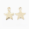 304 Stainless Steel Charms STAS-G179-80G-2