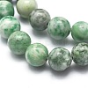 Natural Qinghai Jade Beads Strands G-I254-06C-3