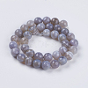 Natural Striped Agate/Banded Agate Beads Strands G-G581-10mm-09-2
