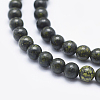 Natural Serpentine/Green Lace Stone Beads Strands X-G-P345-01-10mm-3