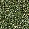 TOHO Round Seed Beads SEED-XTR11-1007-2