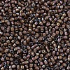MIYUKI Delica Beads X-SEED-J020-DB1790-3
